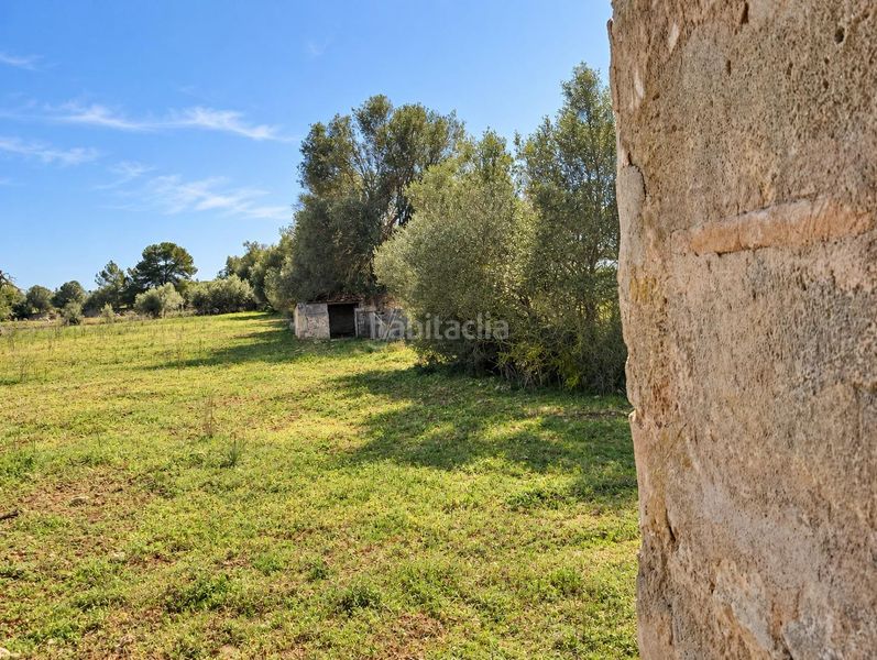Foto a4af61f1-5614-4663-b89e-2ad84cb75bf8. Casa amb aparcament a Algaida