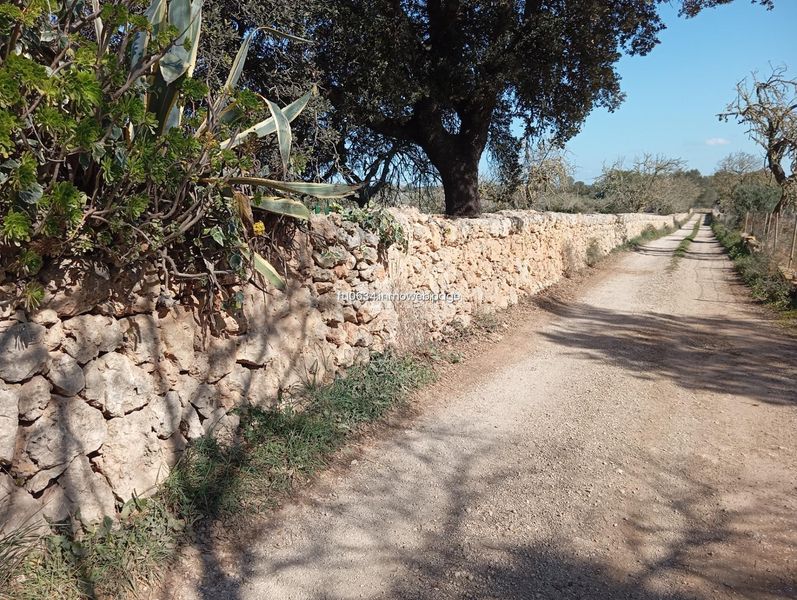 Foto accdc84d-5052-407a-a795-1c021b29b27d. Casa amb aparcament a Algaida