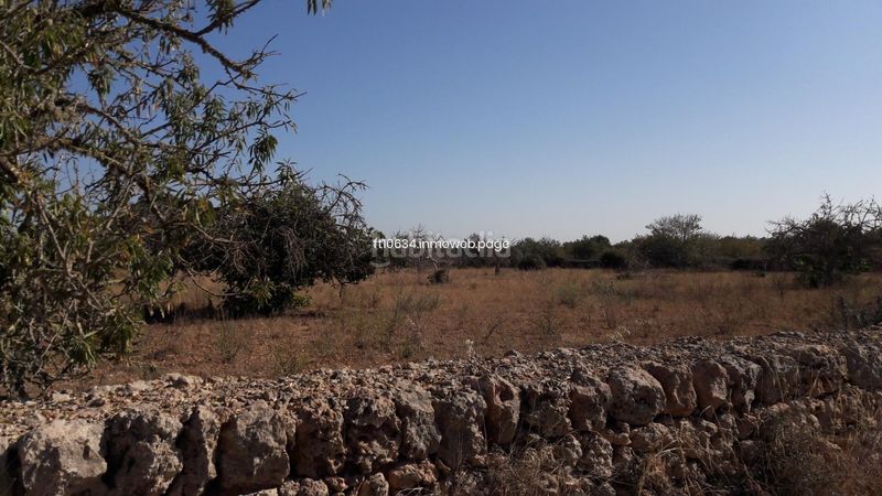 Foto aeede3bb-5d74-4a3d-8622-768fef37c0a6. Casa amb aparcament a Algaida
