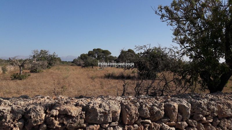 Foto dcdce0a2-6503-4c4a-8315-ed1b9c9ed1e9. Casa amb aparcament a Algaida