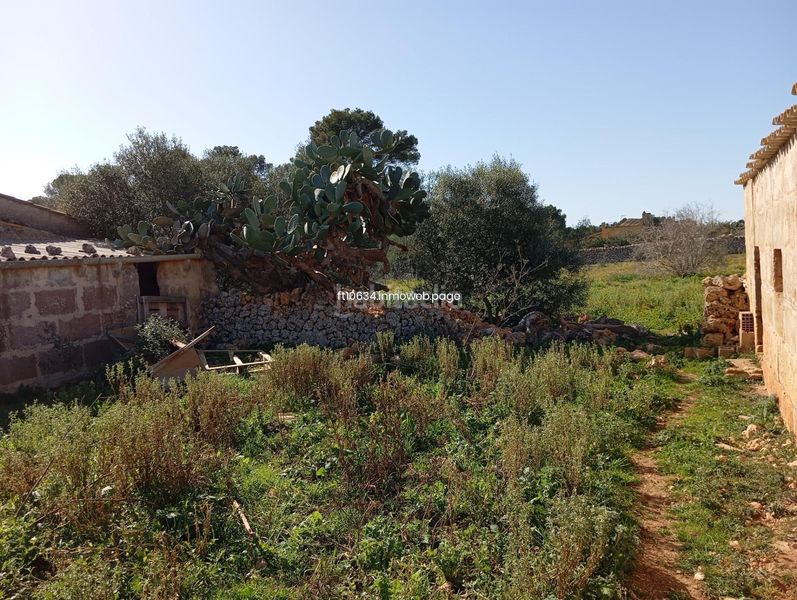 Foto f02104f4-aec8-45fa-9362-aa4525d00f0d. Casa amb aparcament a Algaida