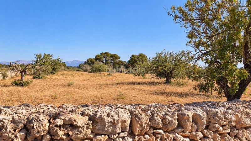 Foto f1ca8f8f-09d5-47c0-9e5b-74ab68bbc01b. Casa amb aparcament a Algaida
