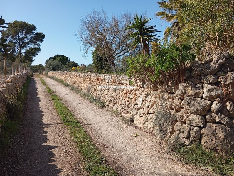 Foto f8493c15-6630-442b-97a0-368ca6f2f035. Casa amb aparcament a Algaida
