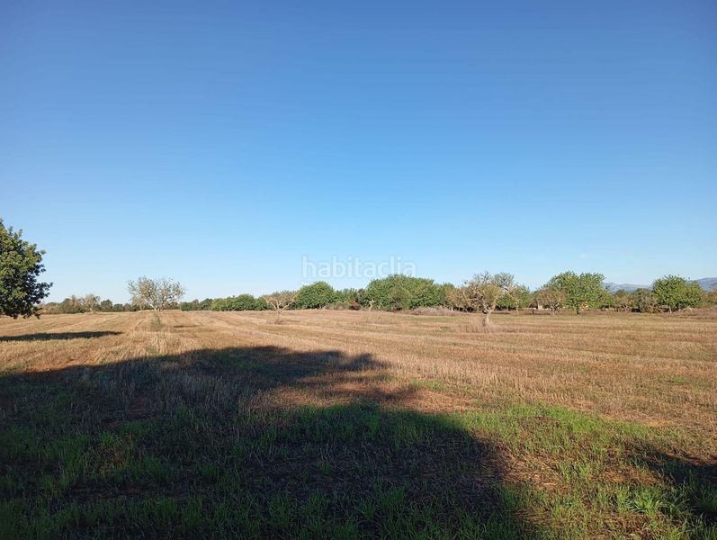 Foto 3118b33a-6dbf-43e4-b449-010cbbd0774f. Casa in Algaida