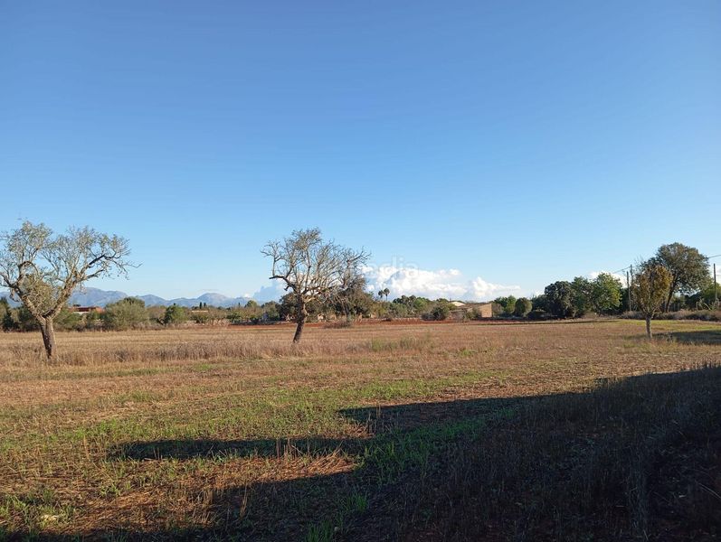 Foto 483282da-5c95-4ca0-8866-bb0cc794333e. Casa in Algaida