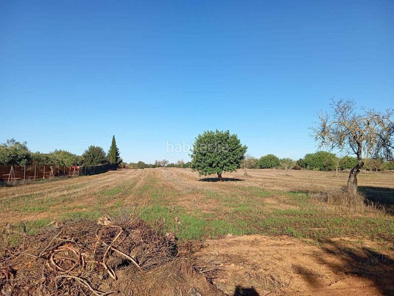 Foto c009742d-b3b4-4879-a59c-8ce2983482f2. Casa in Algaida