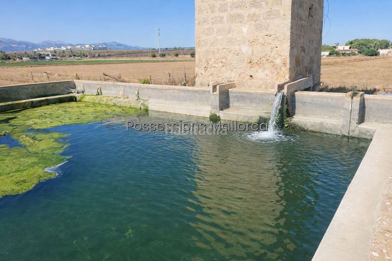 Foto 45287b37-8899-4486-b8b8-933fd4a13dc8. Masia amb aparcament a Son Ferriol Palma de Mallorca