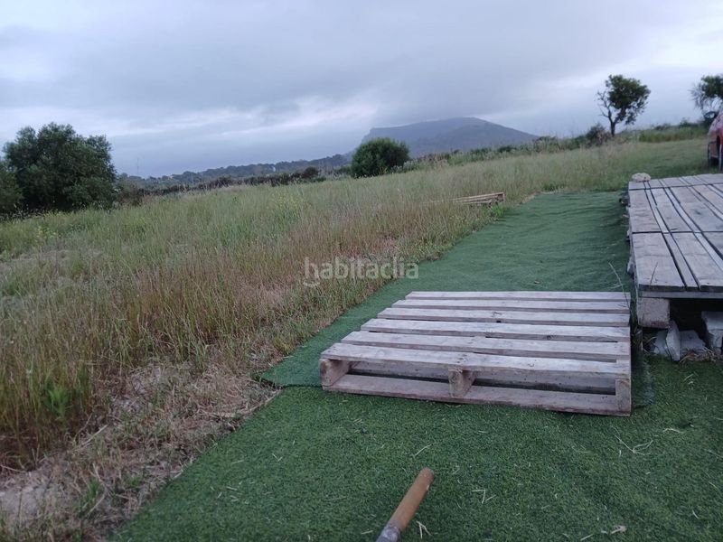 Foto 04df2567-ecaf-4b14-b36f-875ac5d9ecec. Terreno residencial finca rústica no edificable en Algaida