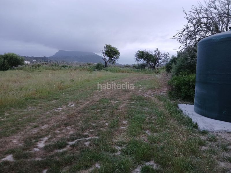 Foto 18e43adf-96af-4f03-8467-653979bf9137. Terreno residencial finca rústica no edificable en Algaida