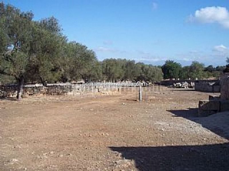 Foto 1155f5b3-a7fc-4c5d-8d35-f0b3230f8b81. Finca rústica a Algaida