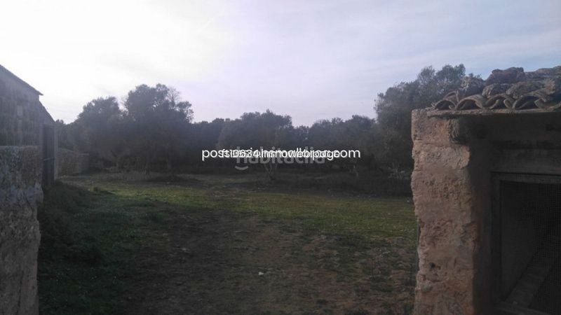 Foto 15fca1c5-9671-4d65-85ed-6cd2288a7c78. Finca rústica a Algaida