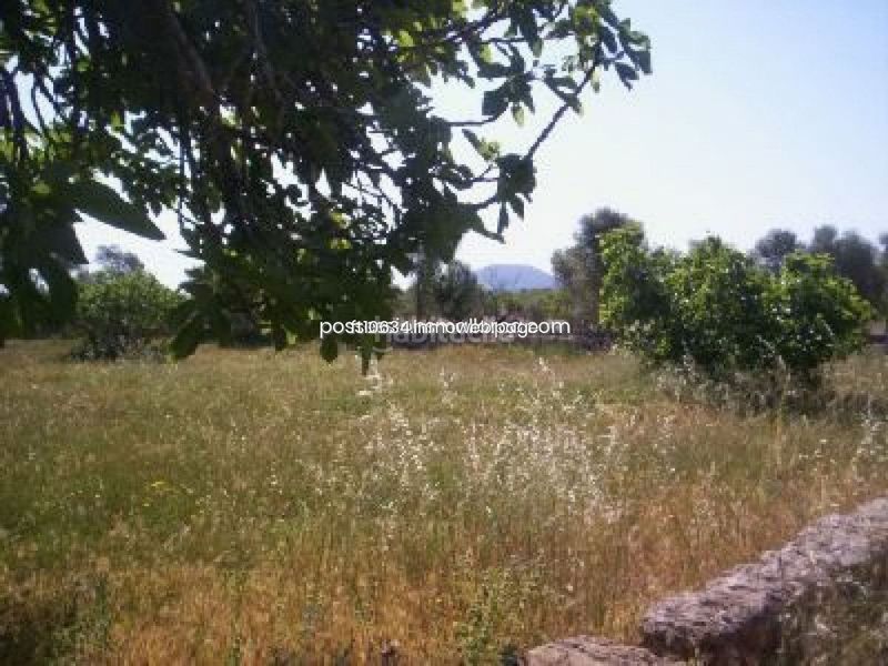 Foto 27b7fae4-4145-4ac7-9373-013f09793e97. Finca rústica a Algaida