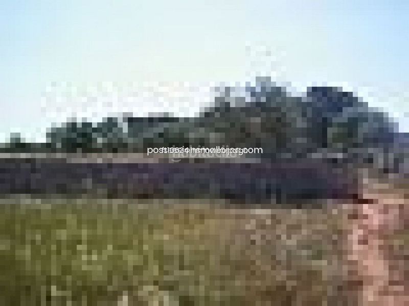 Foto 3e4bd8ff-bf4d-4fe9-9008-e911f52e11c6. Finca rústica a Algaida
