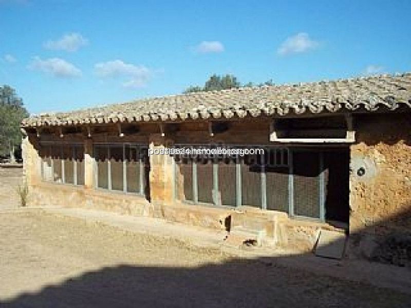 Foto 4132f48f-0302-4b0c-a60e-92822ab4a44c. Finca rústica a Algaida