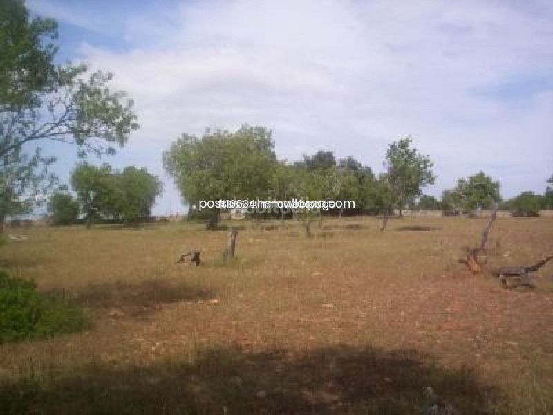 Foto 633df870-1b52-42a6-a6be-cf2f23fa7203. Finca rústica a Algaida