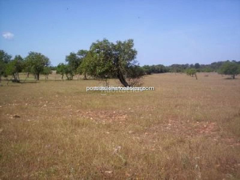 Foto 6d804154-e8d1-4bd4-8508-3588671d4751. Finca rústica a Algaida
