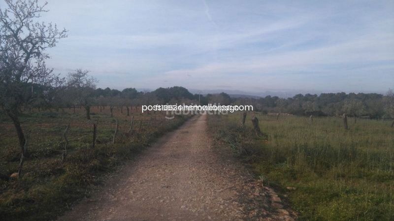 Foto 809e9171-38fa-45d0-b5f7-4f9af4956b1a. Finca rústica a Algaida