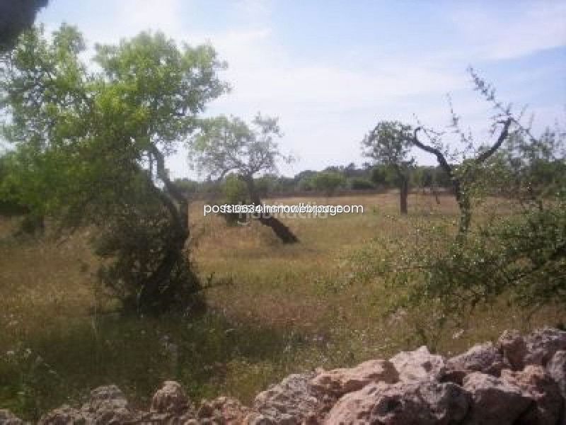 Foto 81d903ba-3f33-4a39-8680-ae5332f8b137. Finca rústica a Algaida