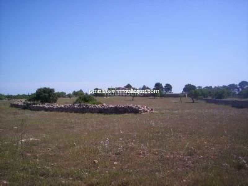 Foto 889528a2-965c-4578-a89b-a851d5440af3. Finca rústica a Algaida