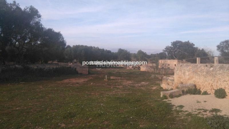 Foto 8bf3f5b4-f86f-4e8c-bd9b-a5316c05218a. Finca rústica a Algaida