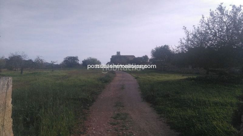 Foto b6e38291-50e7-42e0-a96d-b9477e037251. Finca rústica a Algaida