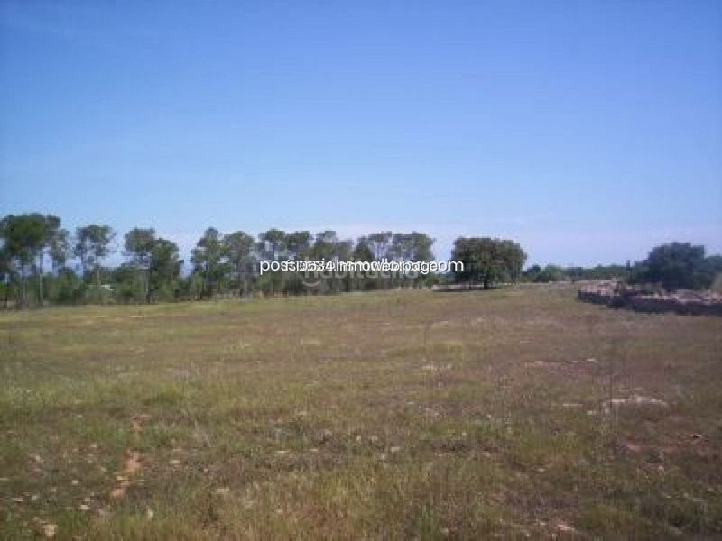 Foto beaa4303-34dc-4207-a9aa-0fc225784db4. Finca rústica a Algaida