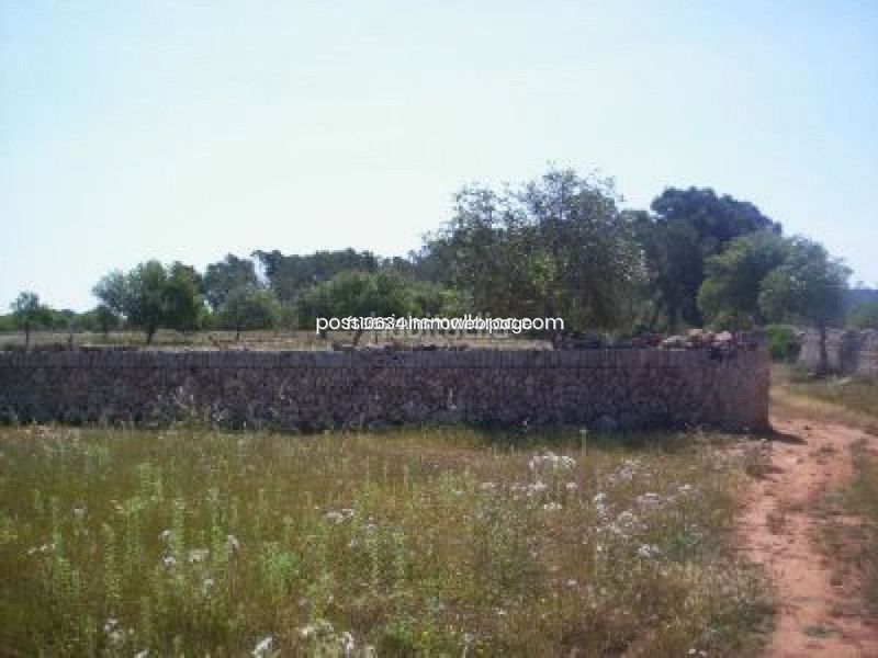 Foto bebf4435-7578-4203-8e99-670062cf32b3. Finca rústica a Algaida
