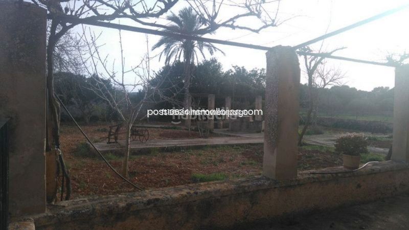 Foto c6e76fca-2caf-4d93-9317-b46c503ae4e7. Finca rústica a Algaida
