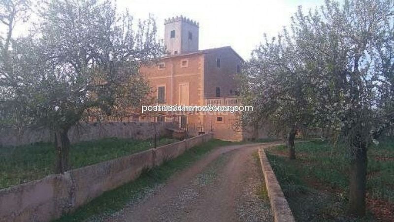 Foto c797e661-b4bf-4944-b060-9ffa0cf434bf. Finca rústica a Algaida