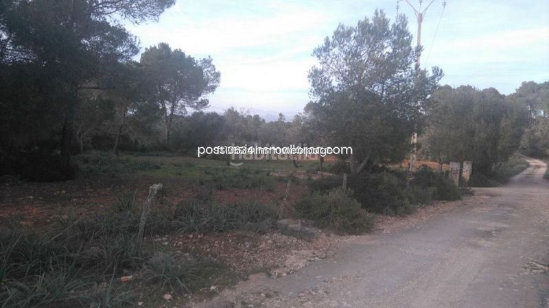 Foto c7a8c5e7-adc5-4892-828f-ba12e64b4941. Finca rústica a Algaida