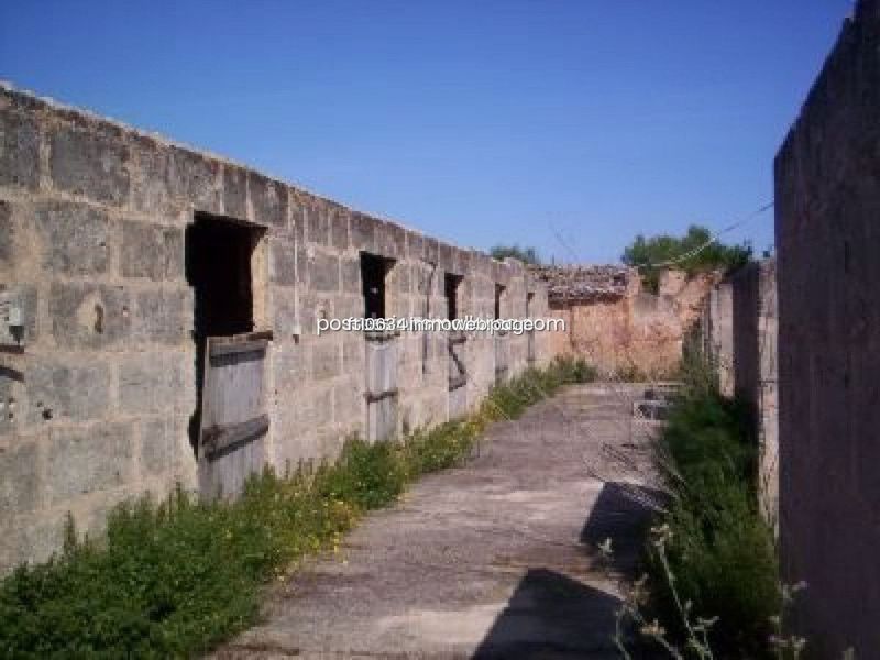 Foto e22ed0f5-2a2f-4e95-b4da-805e2dfe646a. Finca rústica a Algaida