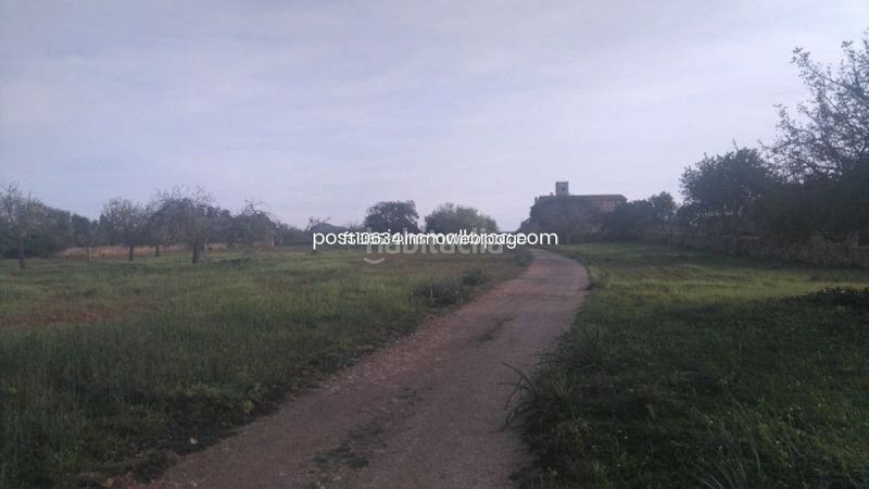 Foto e2d7df30-3c3d-4a43-a285-159615d5c6f3. Finca rústica a Algaida