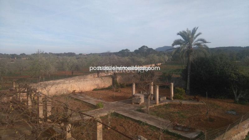 Foto efb2e17a-e51c-455e-a768-5195850ef2cf. Finca rústica a Algaida
