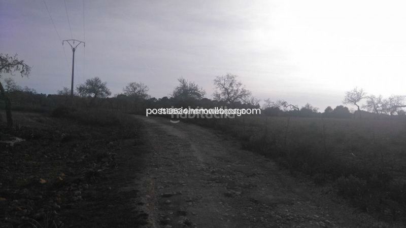 Foto f434aed9-ca10-4b9d-8cd4-752b4a246182. Finca rústica a Algaida