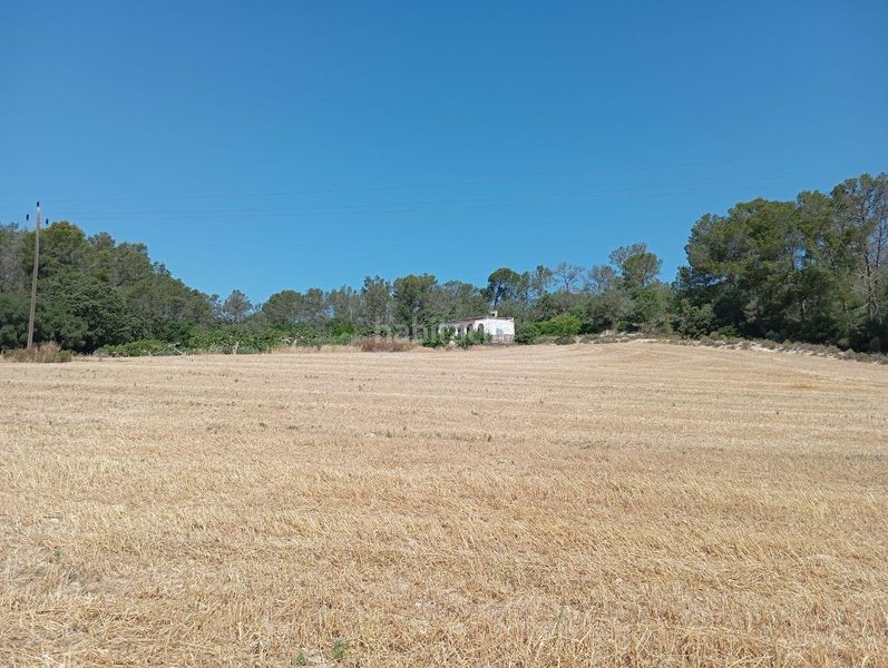 Foto 0b3fb4c7-ebf4-42dd-b229-08063a14335f. Casa a Lloret de Vista Alegre