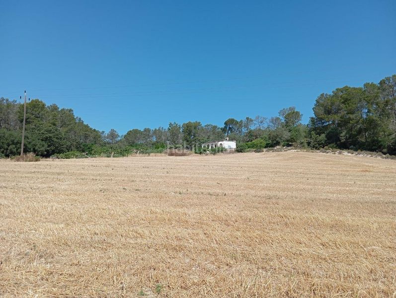 Foto 3153b899-228c-4888-9ee5-d99db8350b61. Casa a Lloret de Vista Alegre
