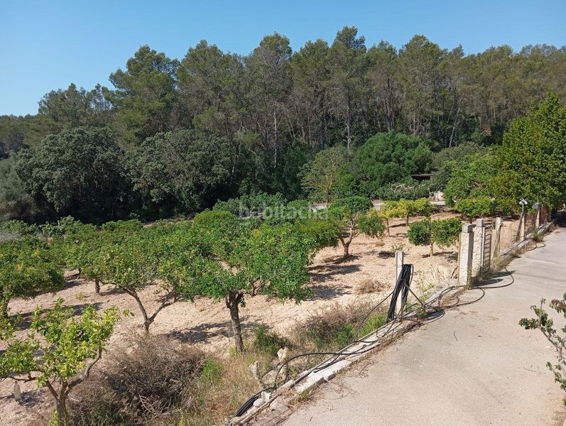 Foto 74a4e203-5c85-4b4e-a86d-f237a4cefeb4. Casa a Lloret de Vista Alegre