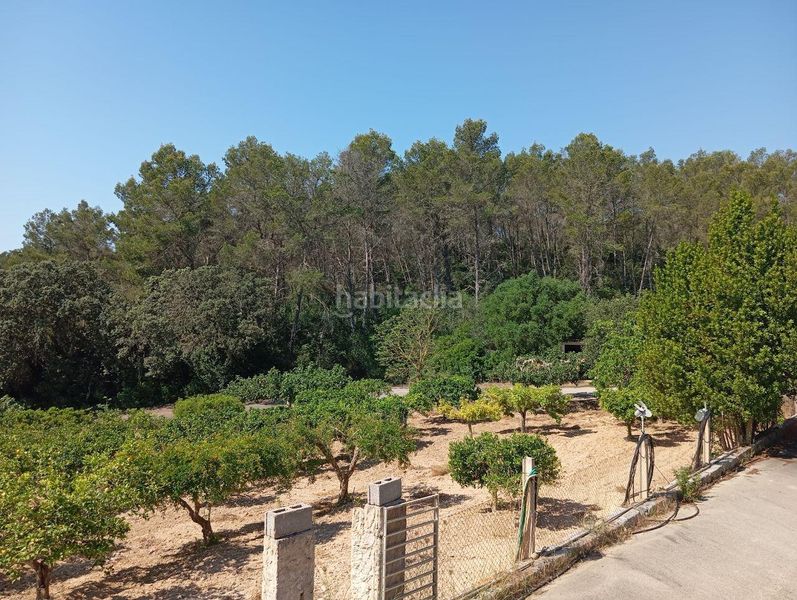 Foto 7ebad11d-bf2f-4a66-bd0a-e9063fe2b784. Casa a Lloret de Vista Alegre