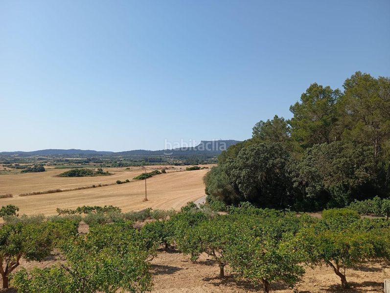 Foto c70dcc14-aeca-4cd8-8d4f-b1144d945c5a. Casa a Lloret de Vista Alegre