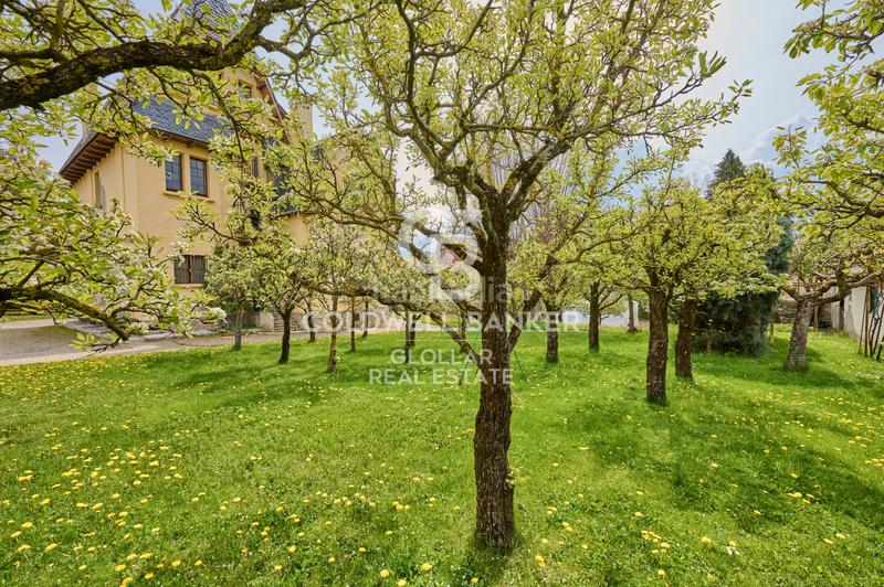 Foto 97fda83b-82f0-41b6-982a-40d6bfaf84af. Haus mit kamin heizung parking in Puigcerdà