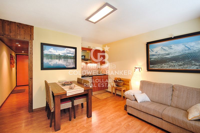 Foto 289d8386-b51c-4654-9040-5958e228b6bd. Apartament a Eyne
