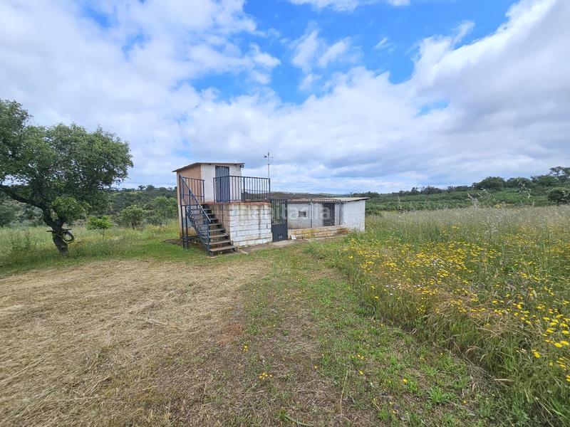 Foto c2f819ce-0a92-4157-a6e6-7d2c5a002fe3. Maison dans Estación Arroyo Malpartida Cáceres