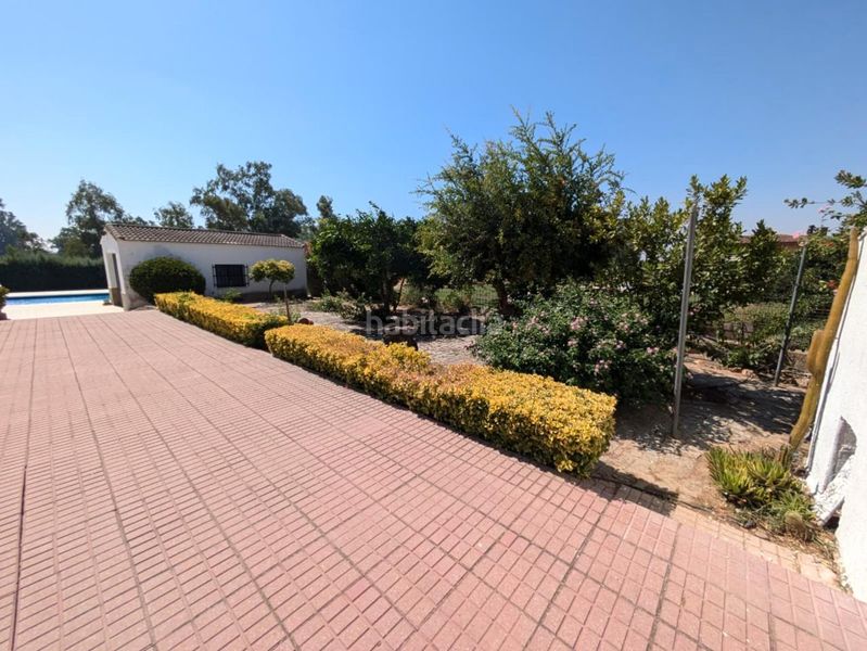 Foto ad305ec7-899d-4526-b3ba-c82c6dbe9b3f. Casa amb piscina a Valverde de Mérida