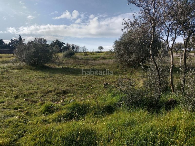 Foto c7ba5d72-d548-4a87-917e-60afb56fda5f. Finca rústica a Oeste Mérida