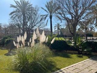 Appartement  Carrer pau casals
