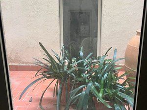 Planta baixa  Carrer marina