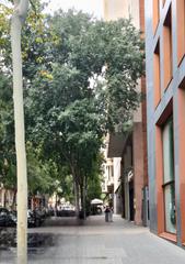 Piso en Dreta de l´Eixample