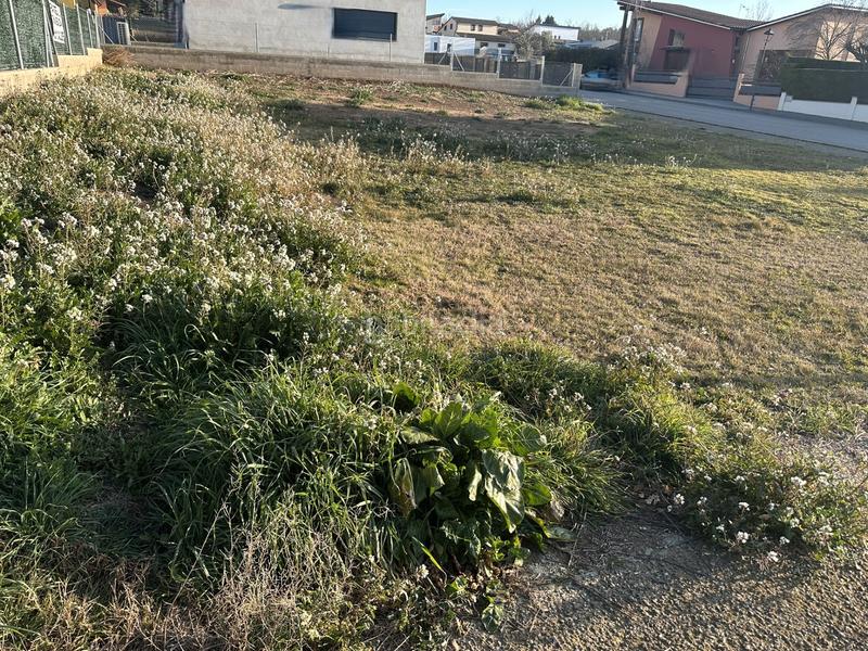Foto bacaa803-6b6a-4d0d-b6fd-af402eb8114e. Residential plot in carrer del duc 19 in Olius