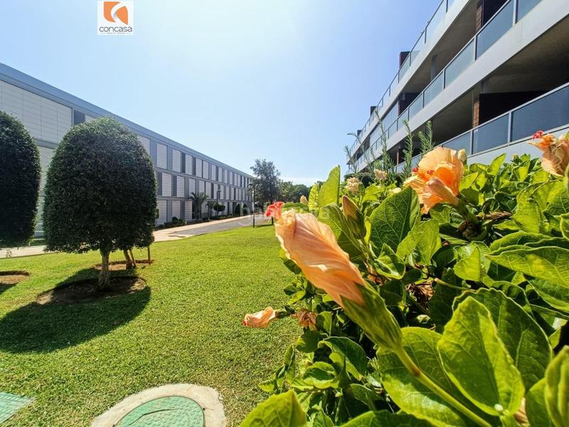 Foto f3eb28e2-4dd4-41f0-af41-0a723dc883f2. Apartamento se vende apartamento en punta paloma sabinillas en Manilva