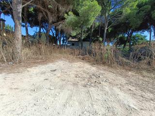 Terreno residencial en Los Franceses - La Vega. Parcela en pinar de los franceses